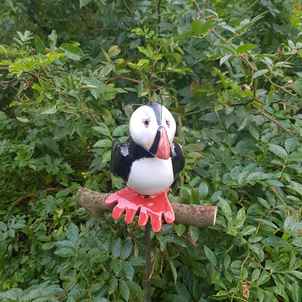 Lustiger Vogel Papageientaucher