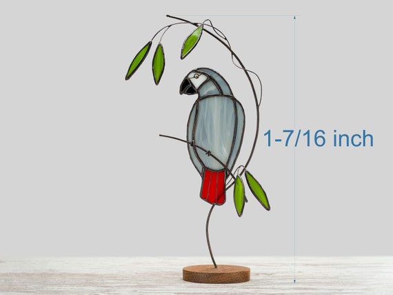 Grey parrot clearance stand