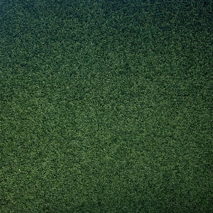 May include: A close-up shot of a green, textured surface. The surface is covered in small, dense, and evenly distributed fibers, creating a plush, carpet-like appearance. The color transitions from a darker shade at the top to a lighter green at the bottom.