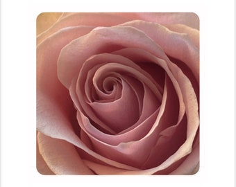 Unsere besten Favoriten - Finden Sie die Mauspad rosa Ihren Wünschen entsprechend
