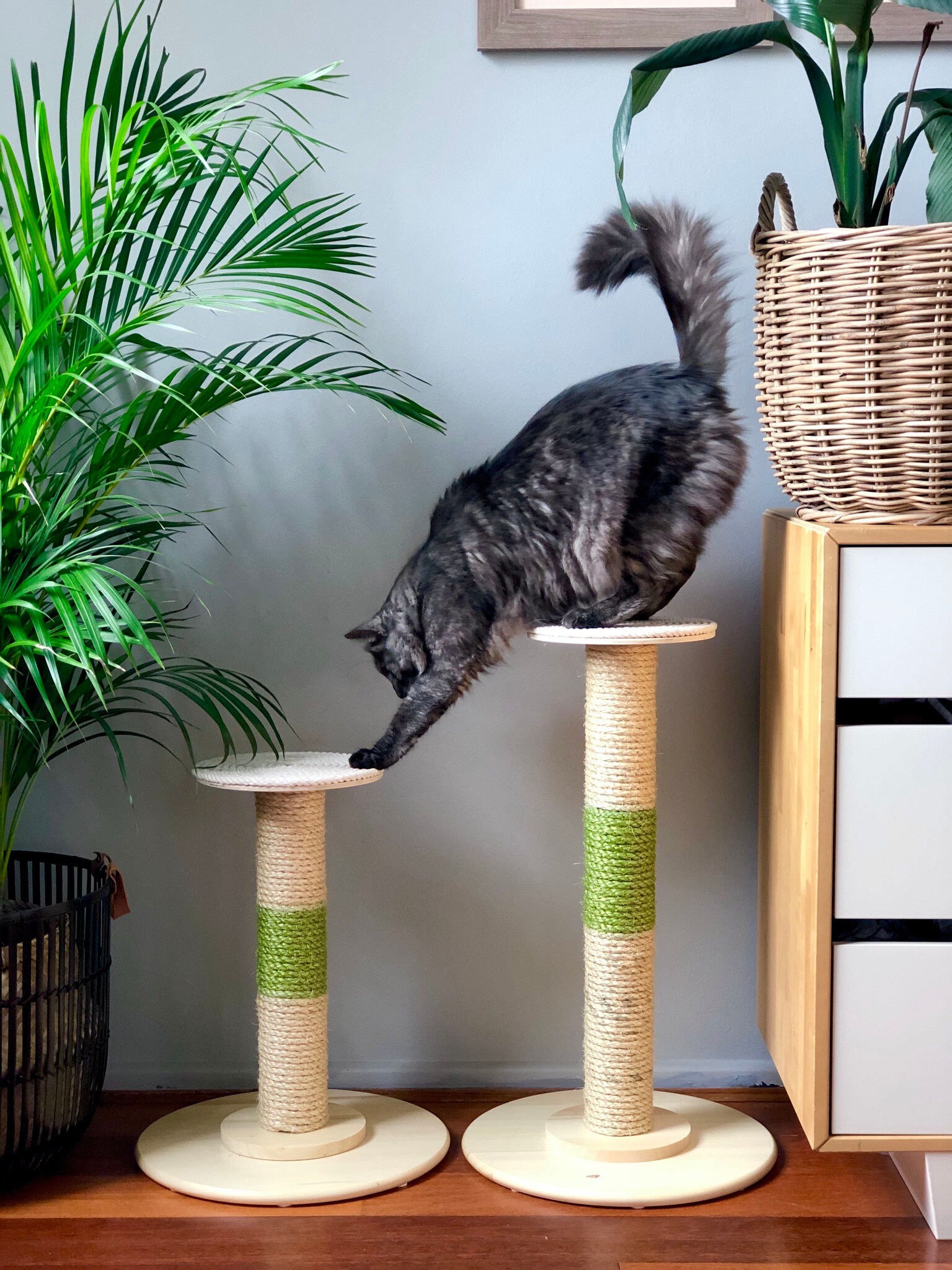 67cm tall Perch Cat scratcher / Scratching post Cat Etsy