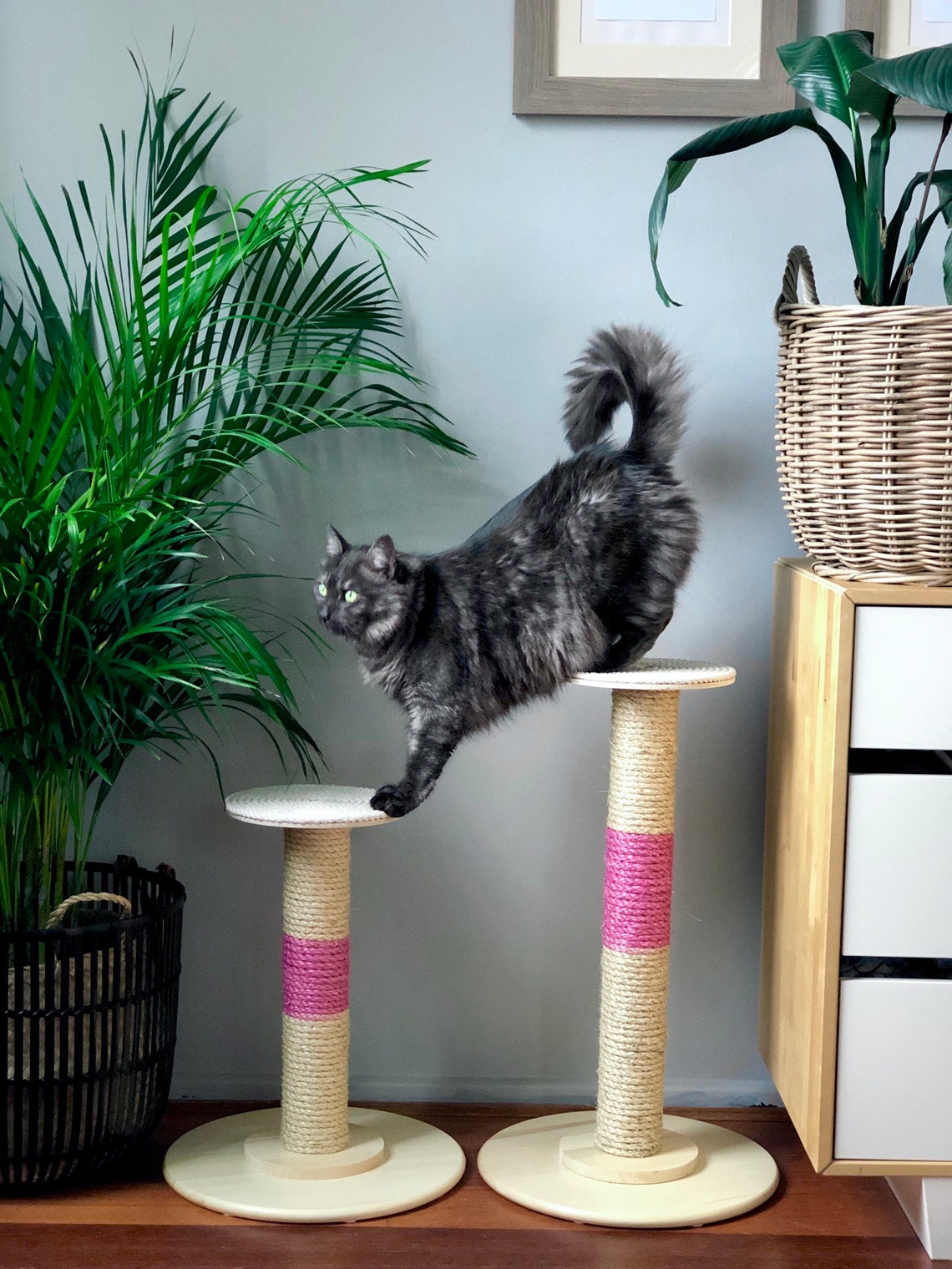 49cm tall Perch Cat scratcher / Scratching post Cat Etsy