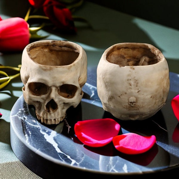 Rustic Skull Flower Pot Halloween Garden Yard Decoration