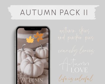 Autumn Pack II, 70 English Story Sticker, Instagram Story Sticker