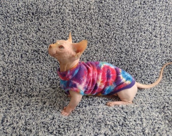 May include: A hairless cat wearing a tie-dye fleece sweater. The cat is sitting on a gray shag carpet and looking up.