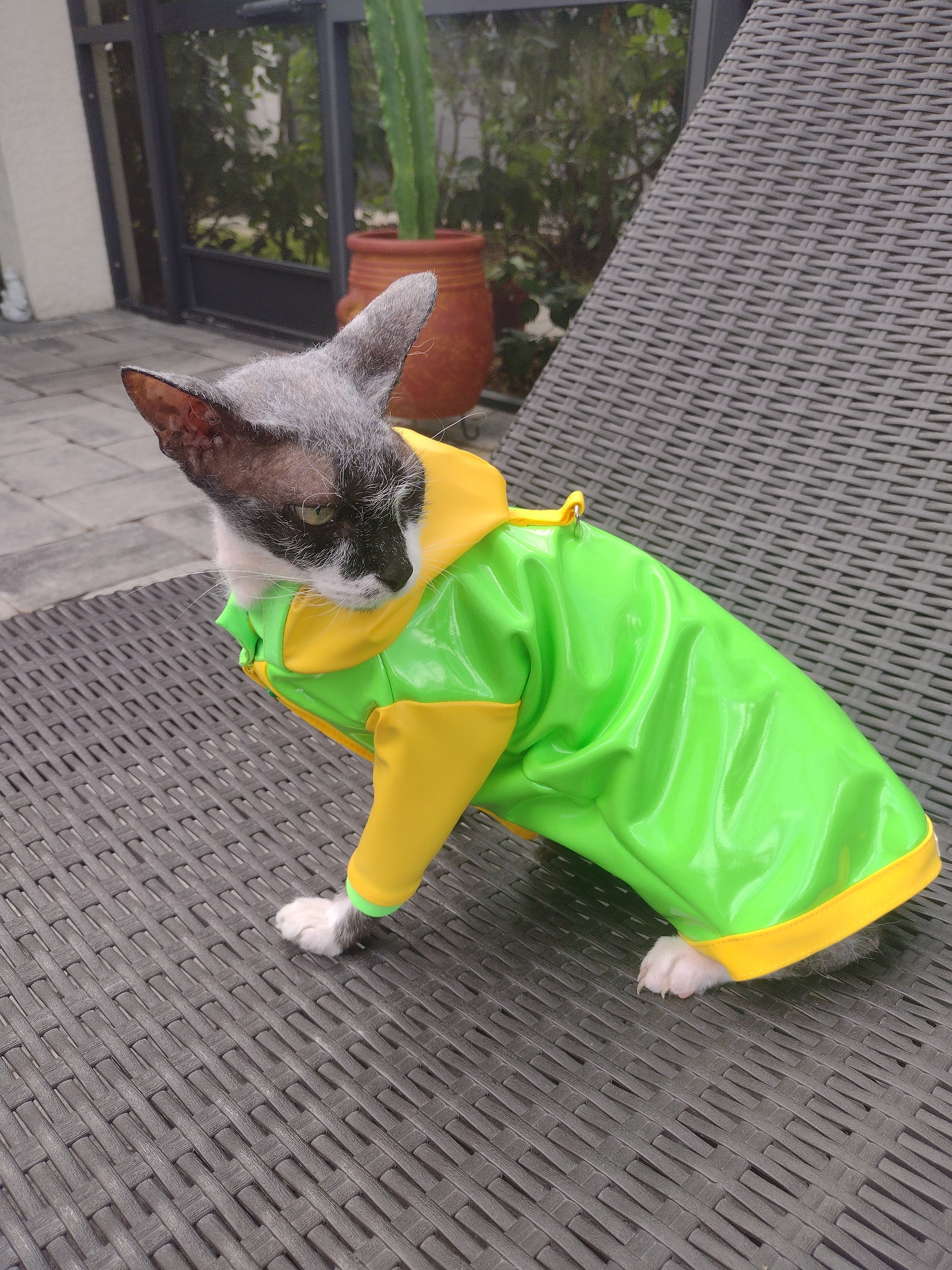 Raincoat for Cats, Sphynx Cat Clothes, Sphynx Jacket, Sphynx Coat