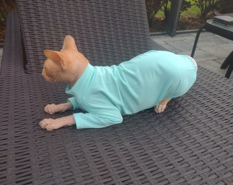 May include: A hairless cat wearing a light blue shirt is lying on a black wicker lounge chair.