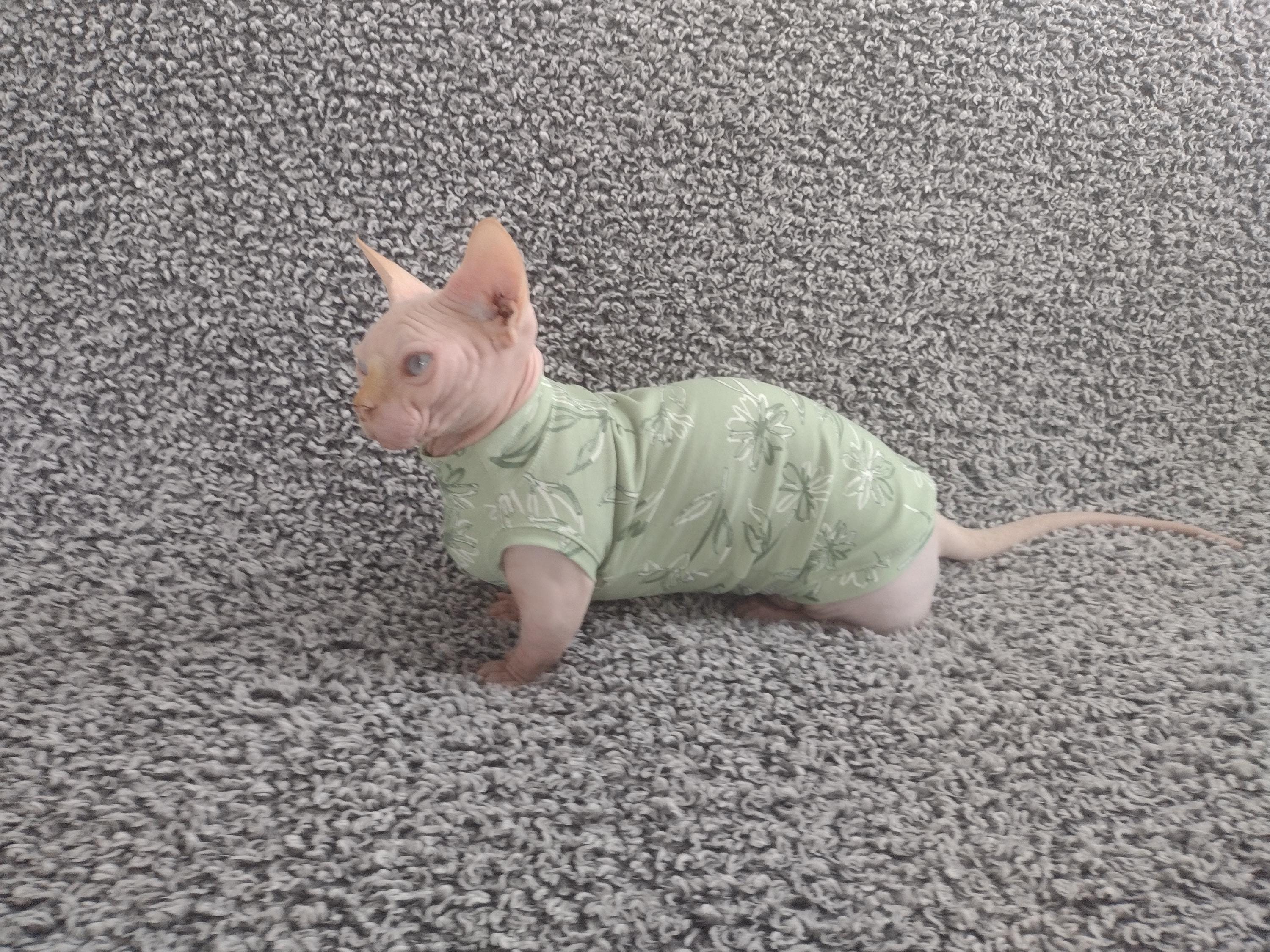 HairlessFashion Etsy