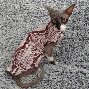 Sphynx cat clothes, bambino sphynx clothes, sphynx sweater, cat clothes, hairless cat clothes, sphynx clothes, bambino clothes, sphynx cat