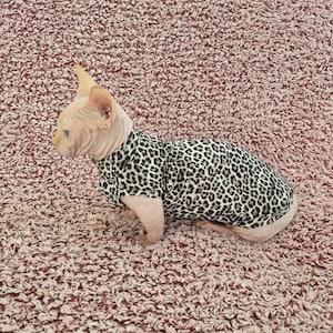 Sphynx cat clothes, bambino cat clothes, cat clothes, sphynx cat shirt, sphynx sweatshirt, hairless cat clothes, sphynx sweater, sphynx cat