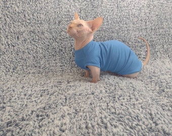 May include: A hairless cat wearing a blue ribbed tank top. The cat is sitting on a gray fluffy surface.
