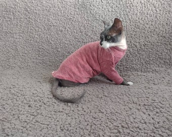 May include: A hairless cat wearing a pink striped sweater. The cat is sitting on a gray fuzzy surface.