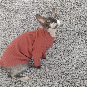 Sphynx cat clothes, hairless cat clothes, sphynx sweater, long sleeves, cat clothes for cats, sphynx cat shirt, sphynx clothes, sphynx cat