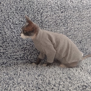 Sphynx cat clothes, cat clothes, long sleeve sweater, sphynx sweater, hairless cat clothes, sphynx cat shirt, sphynx clothing, sphynx cat
