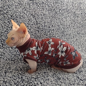 Sphynx cat clothes, bambino cat clothes, cat clothes, sphynx sweater, sphynx cat shirt, hairless cat clothes, hairless fashion, sphynx cat
