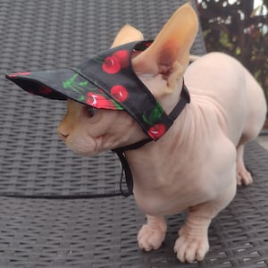 Sphynx cat hat, bambino cat hat, sphynx summer hat, sphynx hat, bambino hat, cat hat, hat for sphynx, hairless cat hat, hairless fashion