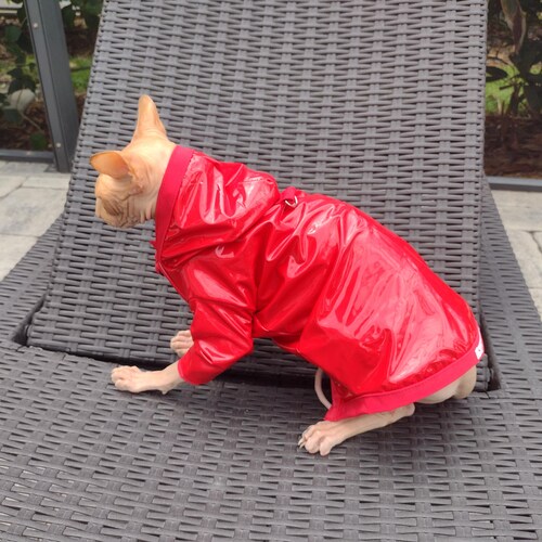 Raincoat for cats, sphynx cat clothes, sphynx jacket, sphynx coat, hairless cat jacket, cat jacket, sphynx clothes, cat rain coat, sphynx