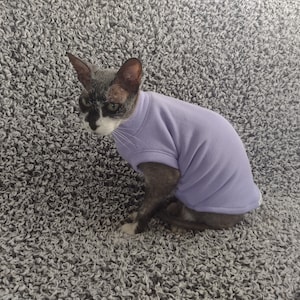 Sphynx cat clothes, bambino sphynx clothes, sphynx sweater, hairless cat clothes, cat clothes, sphynx clothes, sphynx cat shirt, sphynx cat