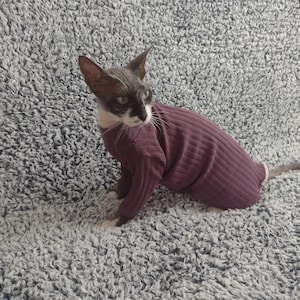 Sphynx cat clothes, hairless cat clothes, long sleeves sweater, sphynx clothes, sphynx sweater, cat clothes for cats, sphynx cat shirt