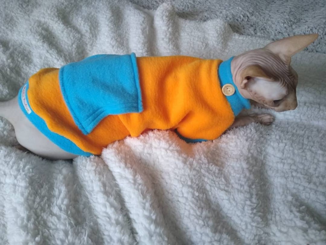 Sphynx Cat Clothes, Bambino Sphynx Clothes, Sphynx Sweater, Sphynx