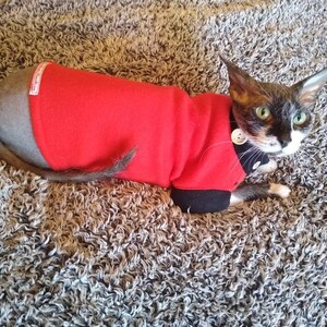 Sphynx cat clothes, fleece sweater for sphynx cat, sphynx clothes, cat clothes, clothes for sphynx, sphynx clothing, sphynx shirt