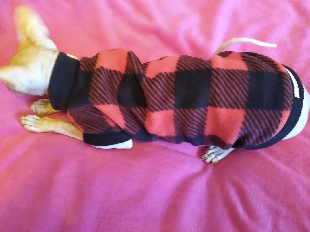 Sphynx Cat Clothes, Bambino Sphynx Clothes, Red Tartan Sphynx Cat