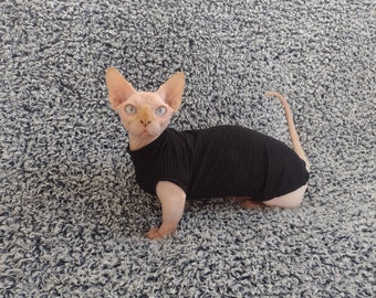 以下が含まれることがあります： 毛のない猫が黒いタートルネックのセーターを着ています。猫は灰色の毛足の長いカーペットの上に座っています。