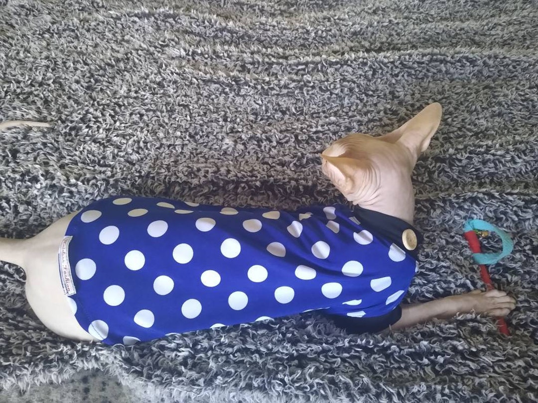 Sphynx Cat Clothes Bambino Sphynx Clothes Sphynx Sweater Etsy