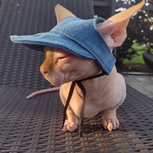 Sphynx cat hat, bambino sphynx hat,Denim sphynx cat hat, sphynx hat, bambino hat, cat hat, hairless cat hat,hat for sphynx, One size