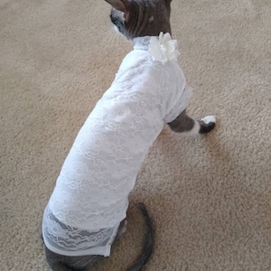 Sphynx cat clothes, Lace sphynx cat shirt with flower, lining inside, sphynx clothes, cat clothes, clothes for sphynx, sphynx shirt