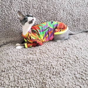 Sphynx cat clothes, sphynx sweater, sphynx clothes, hairless cat clothes, cat clothes for cats, cat clothing, hairless fashion, sphynx cat