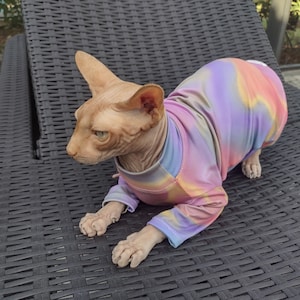 Op de afbeelding: Een haarloze kat draagt een kleurrijk tie-dye shirt en ligt op een zwarte wicker lounge stoel.