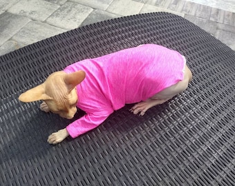 May include: A hairless cat wearing a pink long-sleeved shirt, lying on a black wicker surface.
