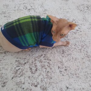 Sphynx cat clothes, bambino sphynx clothes, fleece sphynx cat sweater, sphynx clothes, bambino clothes, cat clothing, sphynx shirt