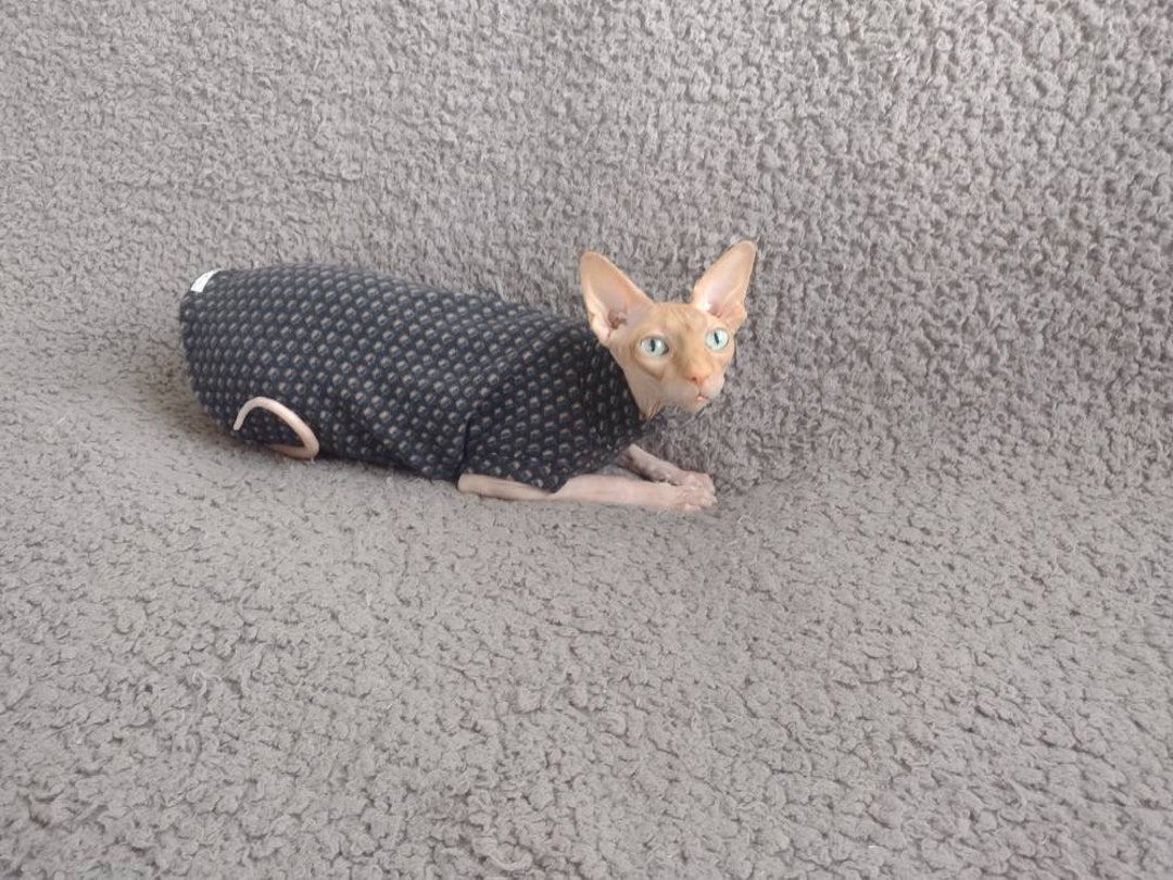 Sphynx Cat Clothes, Bambino Sphynx Clothes, Sphynx Sweater, Sphynx