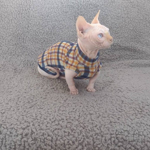 Sphynx cat clothes, bambino sphynx clothes, hairless cat clothes, bambino clothes, sphynx sweater, sphynx clothes, cat clothes, sphynx cat