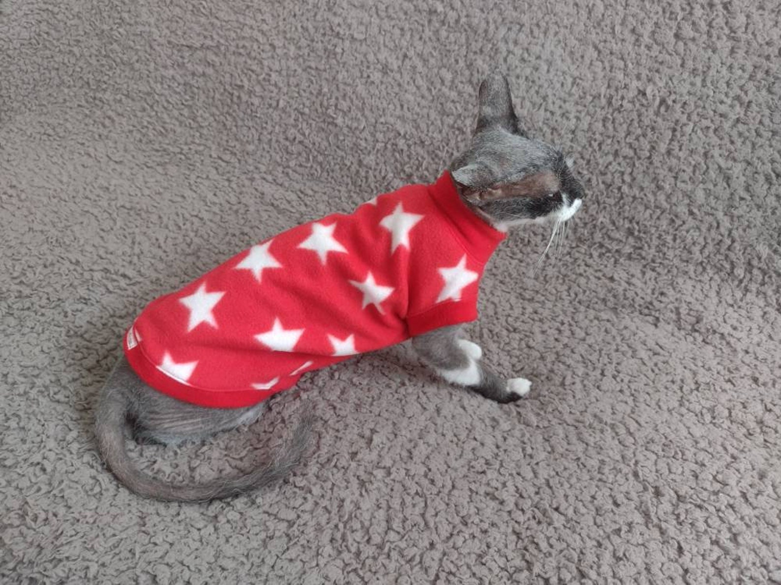 Sphynx Cat Clothes Bambino Sphynx Clothes Sphynx Cat Fleece Etsy