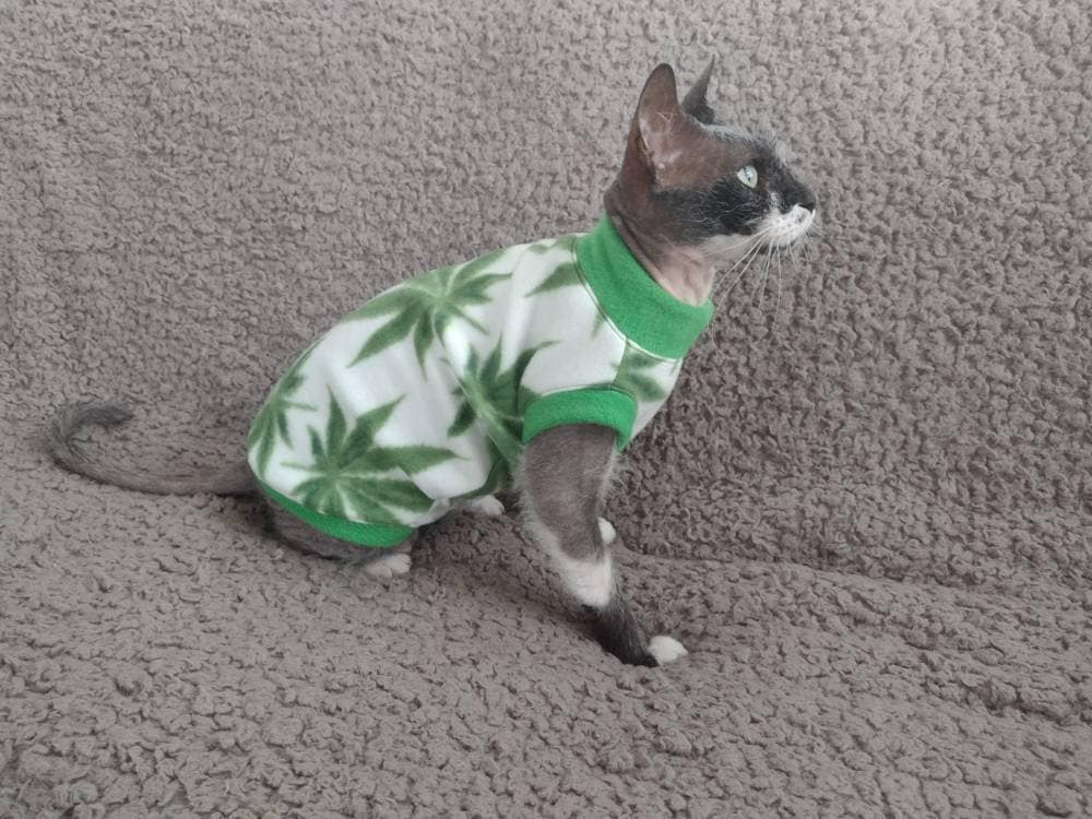 Designer Kitten Clothes | Classic LV T-shirt for Sphynx Cat