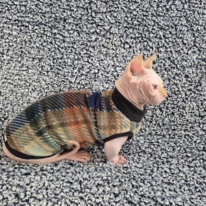 Sphynx cat clothes, bambino cat clothes, cat clothes, sphynx sweater, hairless cat clothes, sphynx clothes, cat clothing, sphynx cat sweater