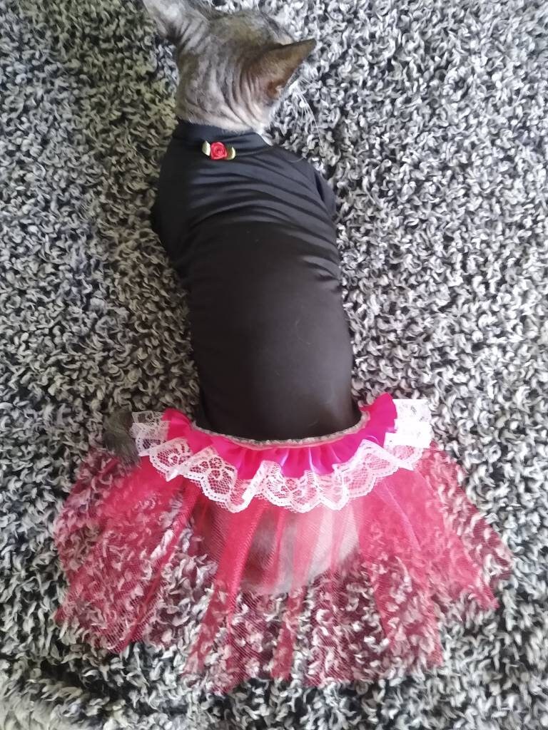 Sphynx Cat Clothes. Sphynx Cat Dress. Medium. Hand Made Sphynx Etsy