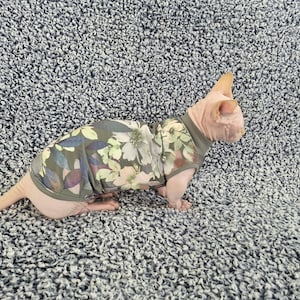 Sphynx cat clothes, bambino cat clothes, cat clothes, sphynx cat shirt, hairless cat clothes, sphynx sweatshirt, sphynx sweater, sphynx cat