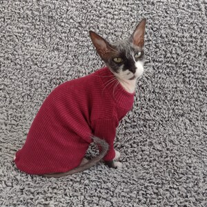 Sphynx cat clothes, sphynx sweater, long sleeves, hairless cat clothes, cat clothes, sphynx cat shirt, sphynx clothes, cat clothes for cats