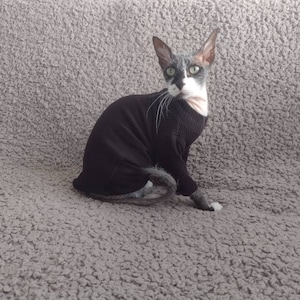 Sphynx cat clothes, long sleeves sphynx cat sweater, sphynx clothes, cat clothes, hairless cat clothes, sphynx shirt, sphynx clothing
