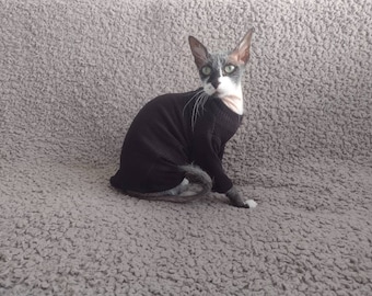 May include: A gray and white hairless cat wearing a black long-sleeved shirt. The cat is sitting on a gray fuzzy surface.