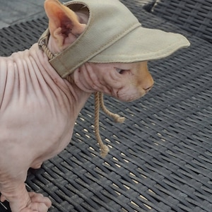 Sphynx cat hat, bambino sphynx hat, hat for sphynx, hairless cat hat, sphynx hat, bambino hat, hairless fashion,cat hat for cats, One size