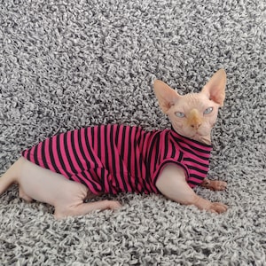 Sphynx cat clothes, bambino clothes, sphynx sweater, sphynx cat shirt, hairless cat clothes, cat clothes, sphynx clothes, sphynx cat