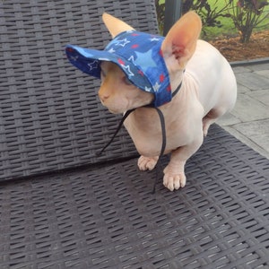 Sphynx cat hat, bambino sphynx hat, sphynx summer hat, sphynx hat, bambino hat, hairless cat hat, cat hat, hairless fashion, sphynx cat