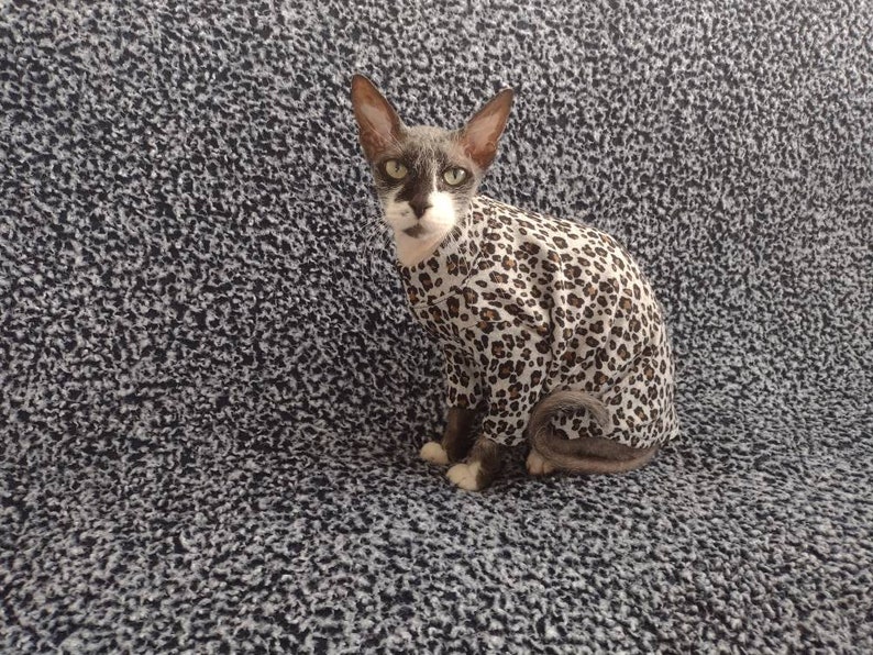 Sphynx Cat Clothes Long Sleeves Sphynx Cat Sweater Sphynx Etsy