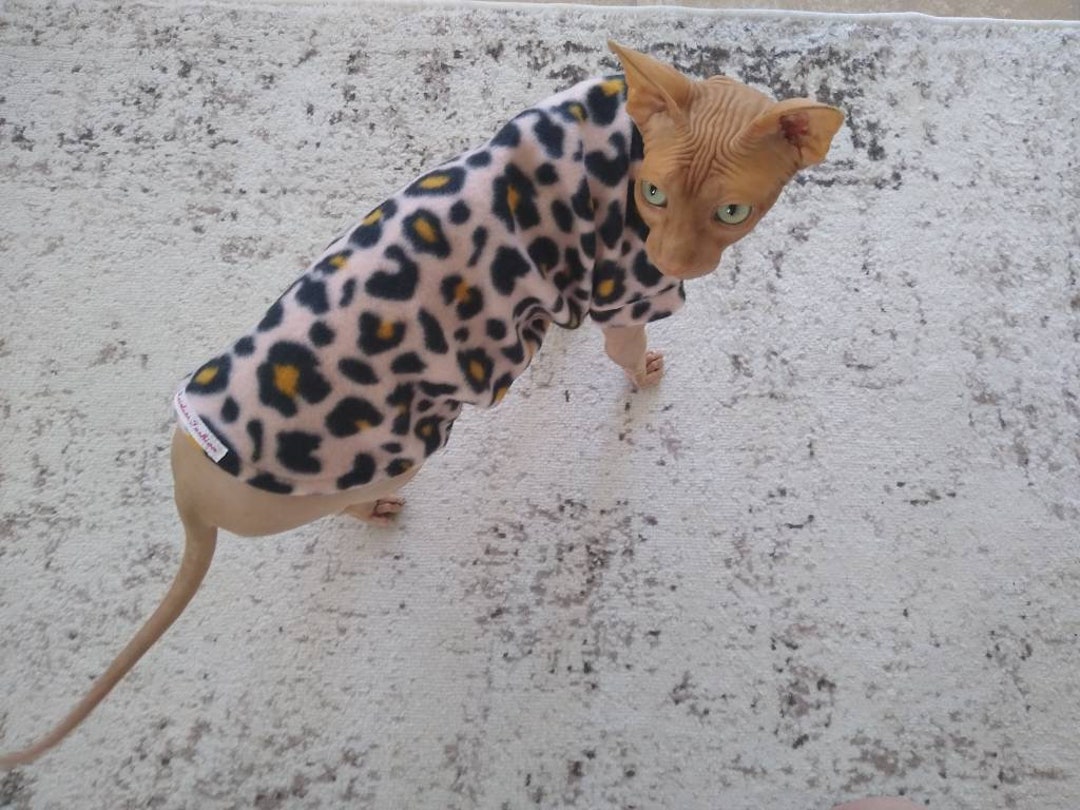 Sphynx Clothes Bambino Sphynx Clothes Sphynx Sweater Sphynx Etsy