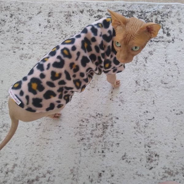 Sphynx clothes, bambino sphynx clothes, sphynx  sweater, sphynx clothes, bambino clothes, cat clothes, hairless cat clothes, sphynx cat